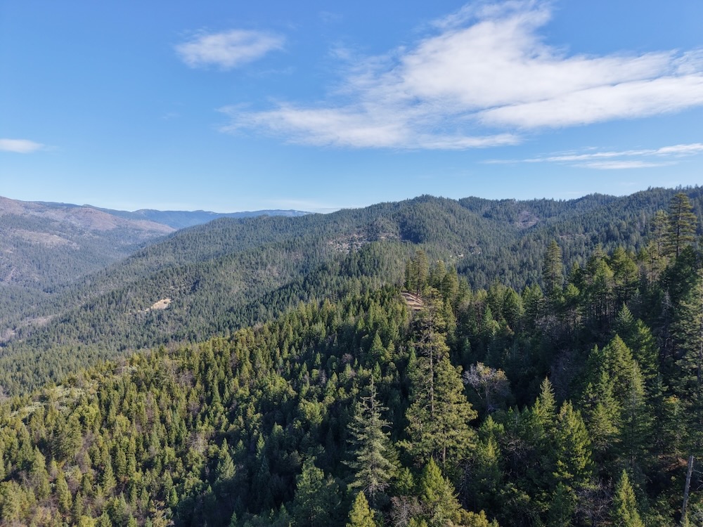 Protect the Forests of the Siskiyou Crest and Seiad Creek! Comment on the Seiad Restoration Thin Project!