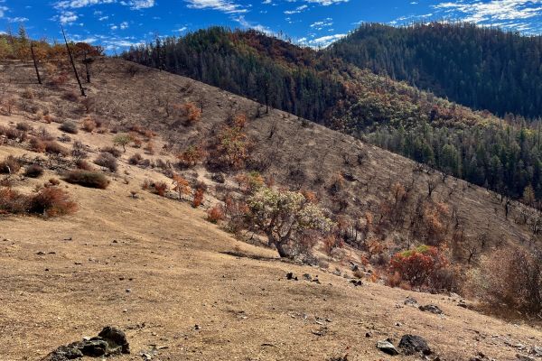 2024 Upper Applegate Fire Report