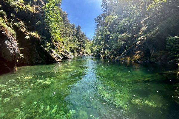 2025 Year in Review: Defending the Klamath-Siskiyou through dedicated activism, diligent litigation, and passionate advocacy